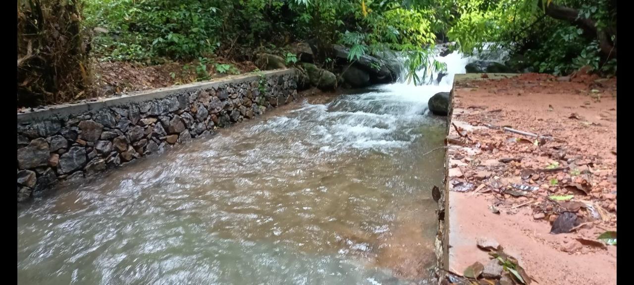 Forest And River Edge Resort Kannur Exterior photo